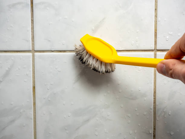 Best Mold Testing  in Tton, IL