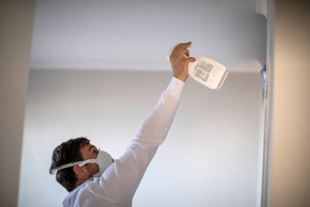 Best Best Mold Removal Companies  in Tton, IL
