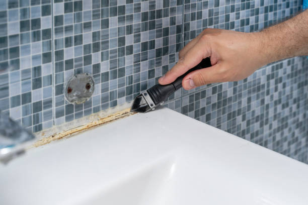 Best Black Mold Removal  in Tton, IL